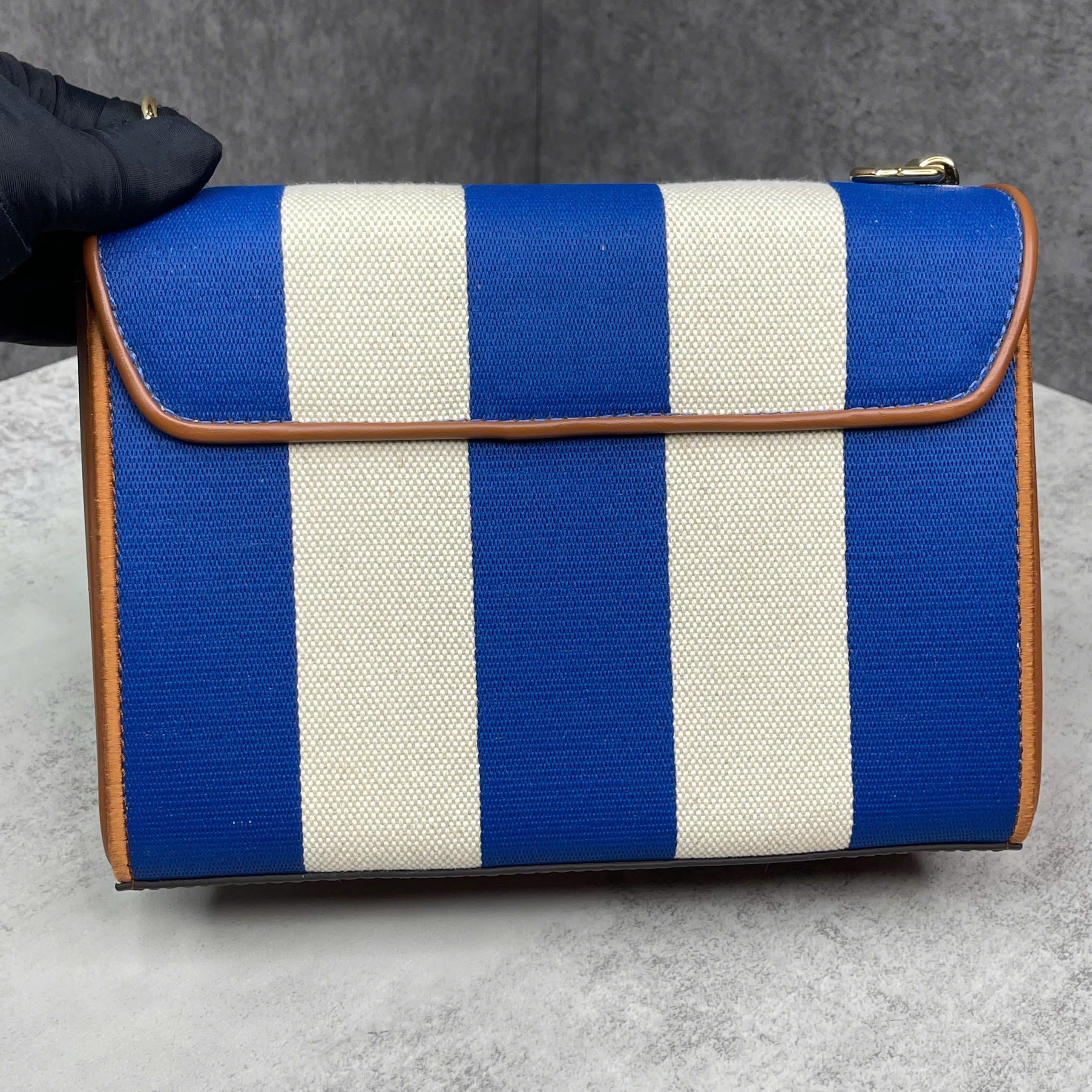 Louis Vuitton Twist canvas sọc xanh trắng