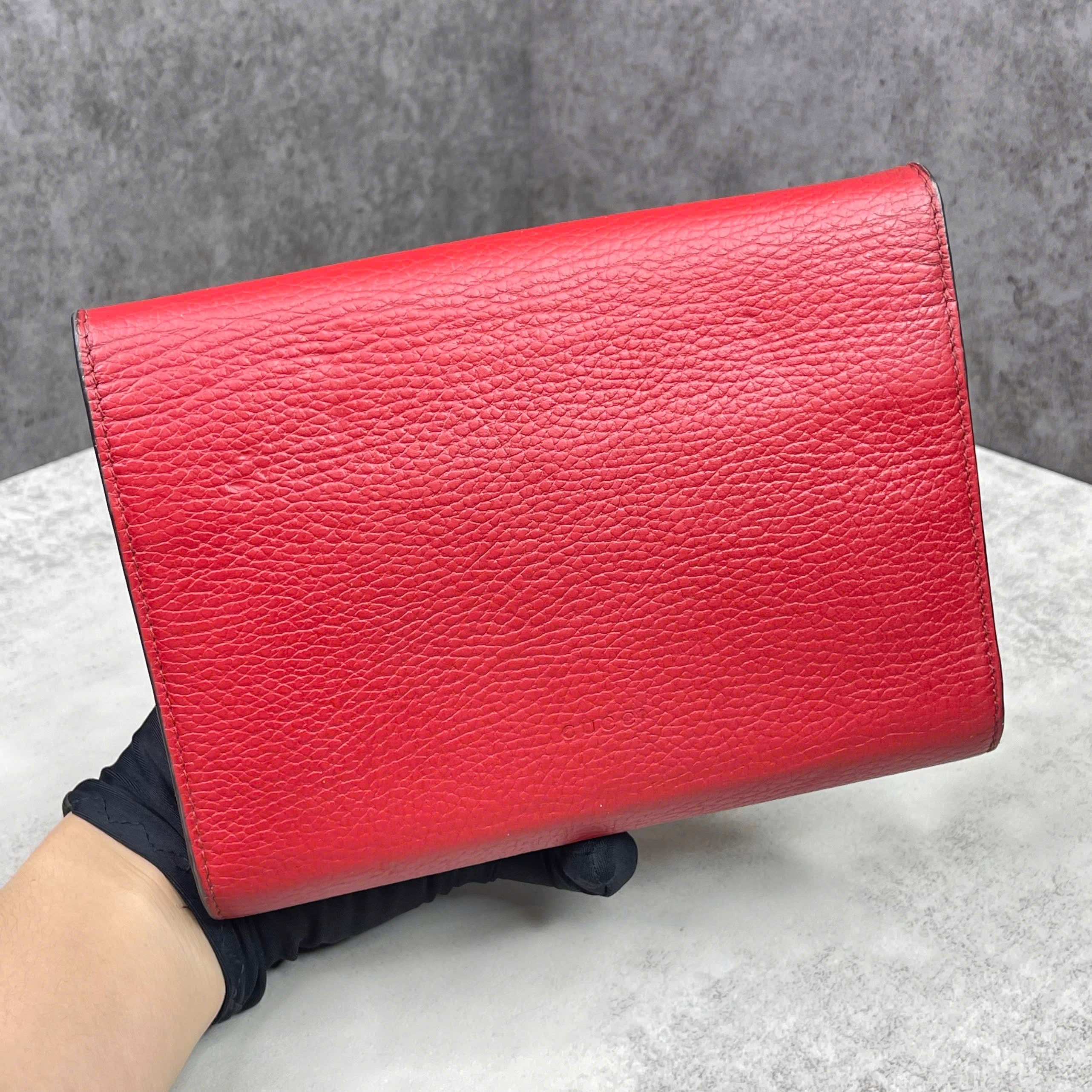 Gucci Dionysus Leather size 20
