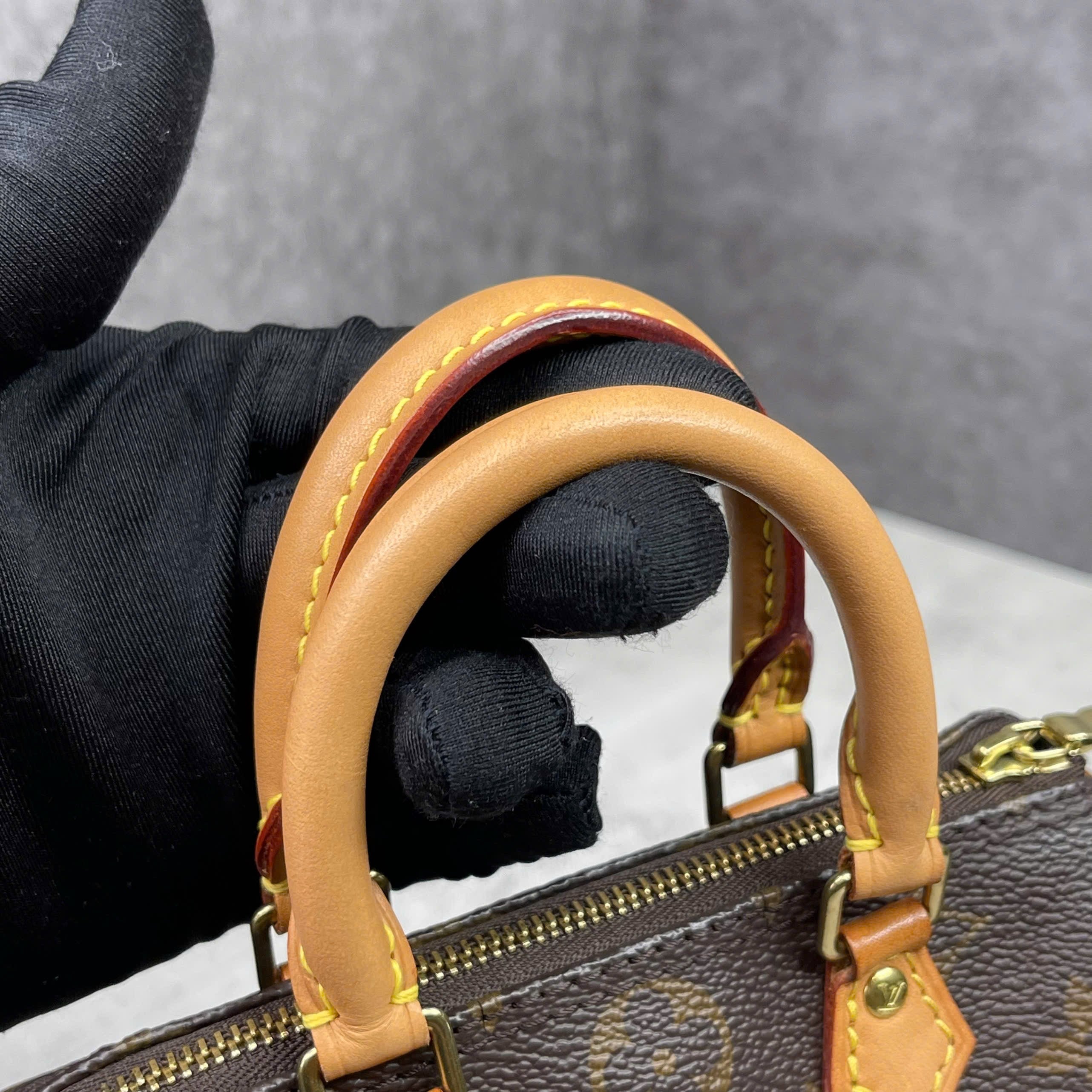 Louis Vuitton Mini Speedy Monogram