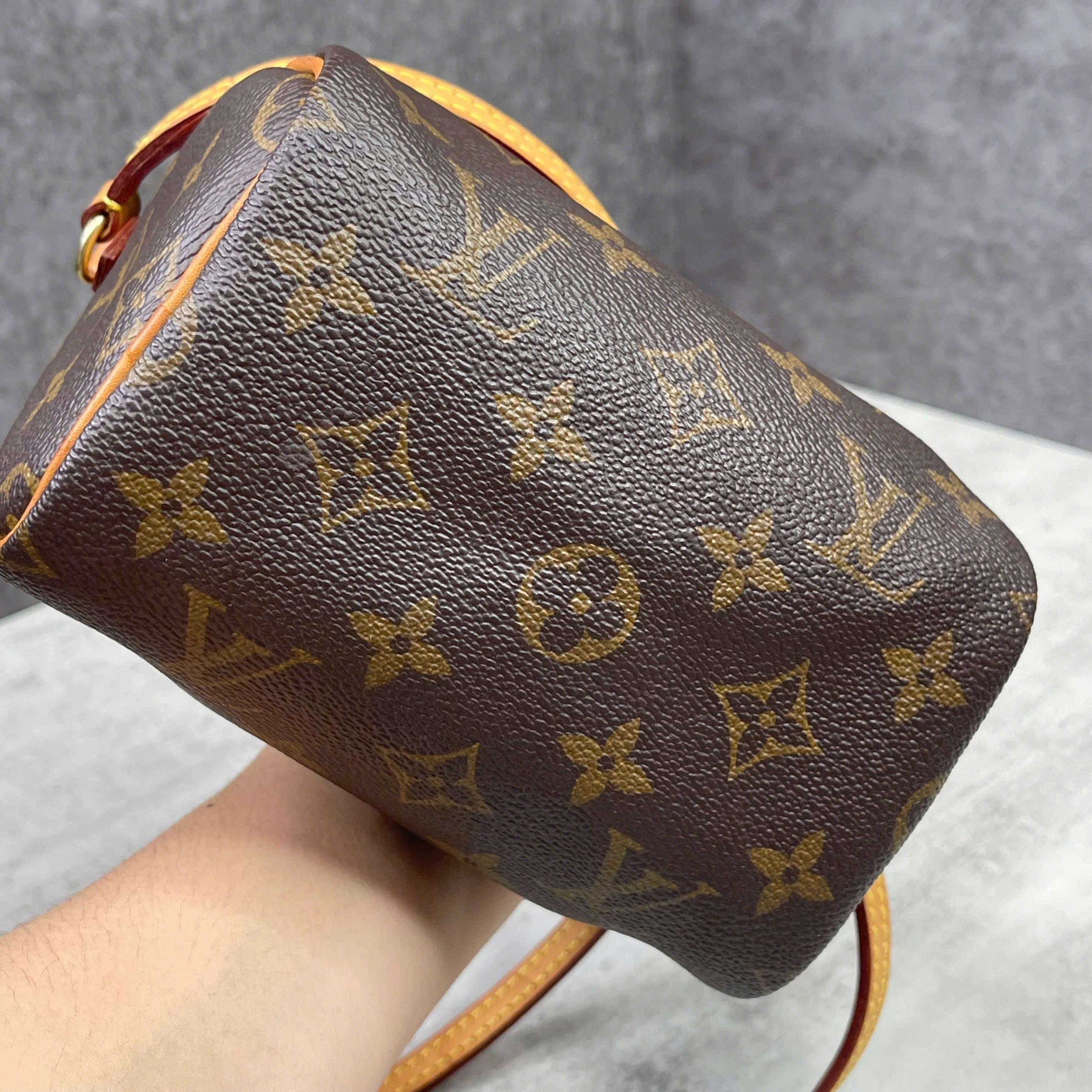 Louis Vuitton Mini Speedy Monogram