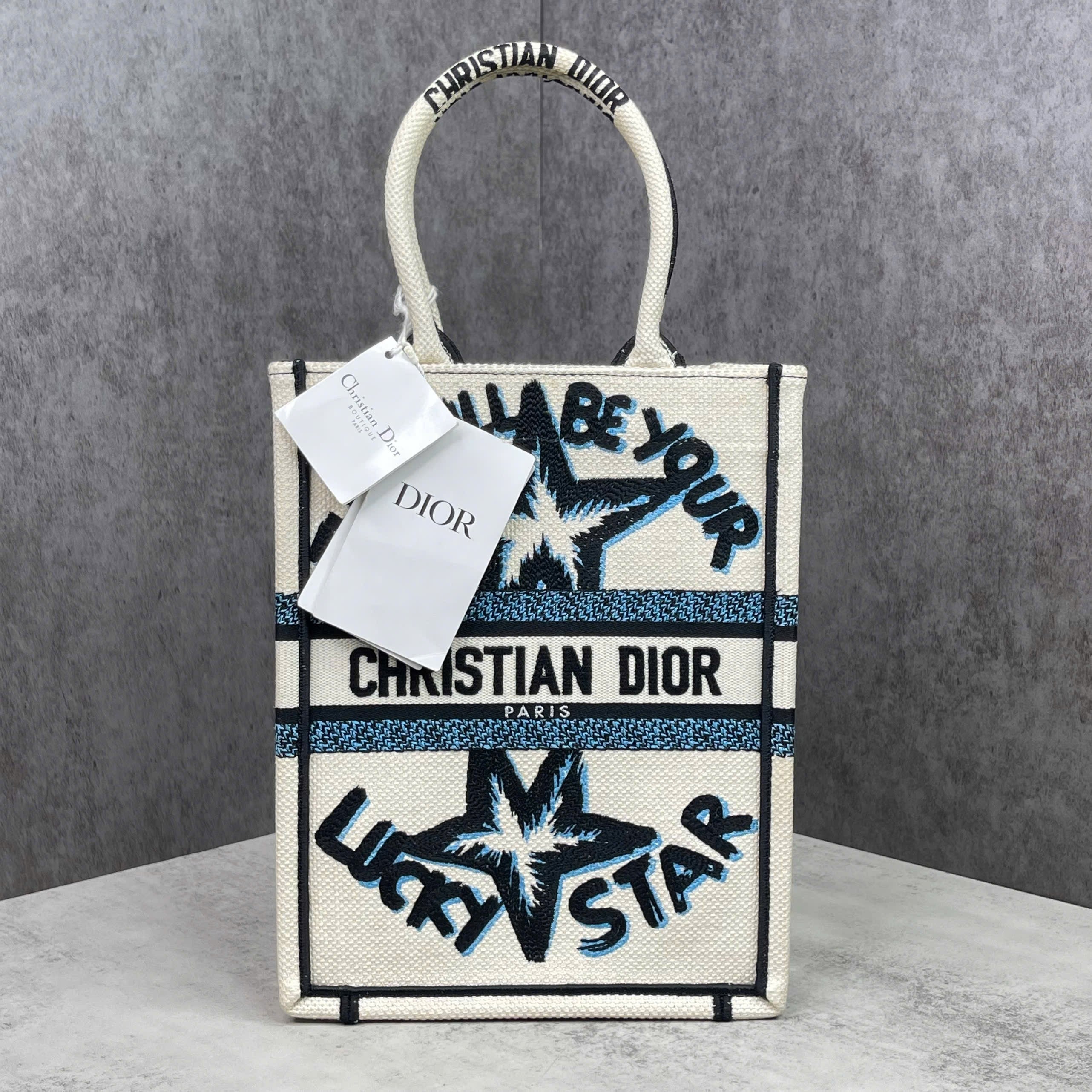 Christian Dior Book Tote Vertical Small Canvas